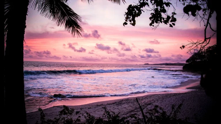 Beach20052